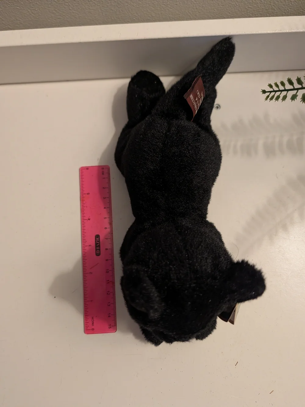 Black Velvet Pumpkin & Plush Black Cat Home Accent Duo